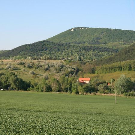 Malomdulo Farmhaz Pension Pilisborosjenő Buitenkant foto