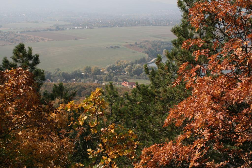 Malomdulo Farmhaz Pension Pilisborosjenő Buitenkant foto