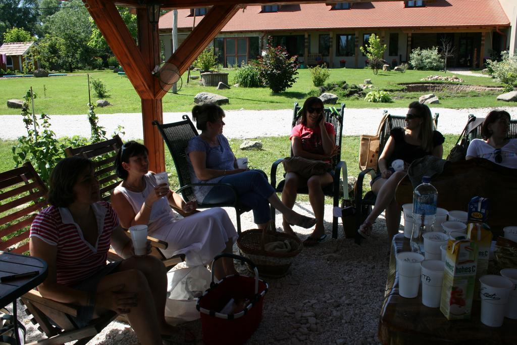 Malomdulo Farmhaz Pension Pilisborosjenő Buitenkant foto