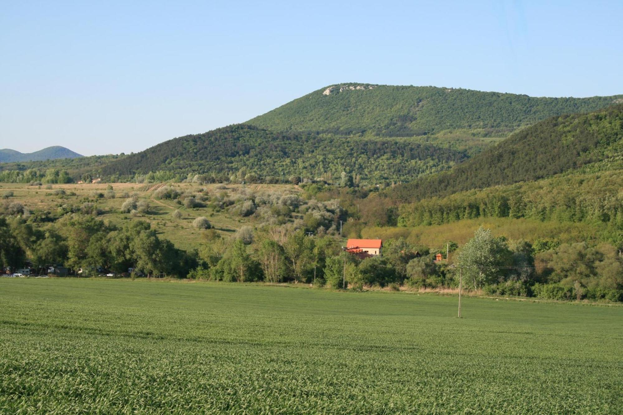 Malomdulo Farmhaz Pension Pilisborosjenő Buitenkant foto