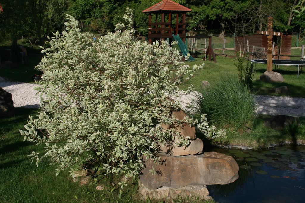Malomdulo Farmhaz Pension Pilisborosjenő Buitenkant foto