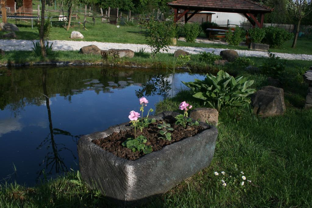 Malomdulo Farmhaz Pension Pilisborosjenő Buitenkant foto
