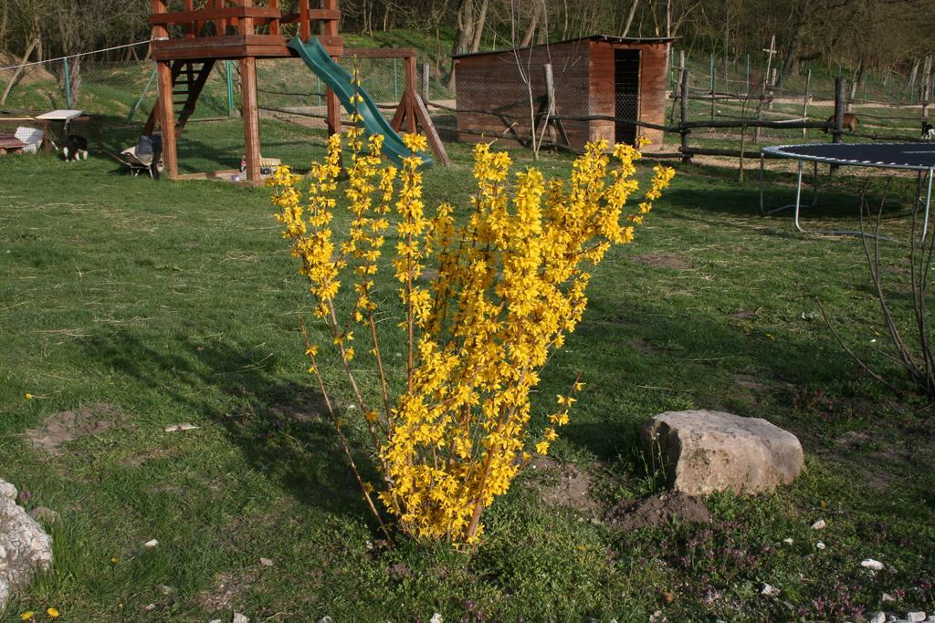 Malomdulo Farmhaz Pension Pilisborosjenő Buitenkant foto