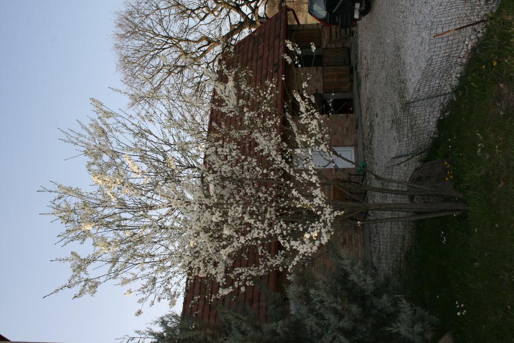 Malomdulo Farmhaz Pension Pilisborosjenő Buitenkant foto