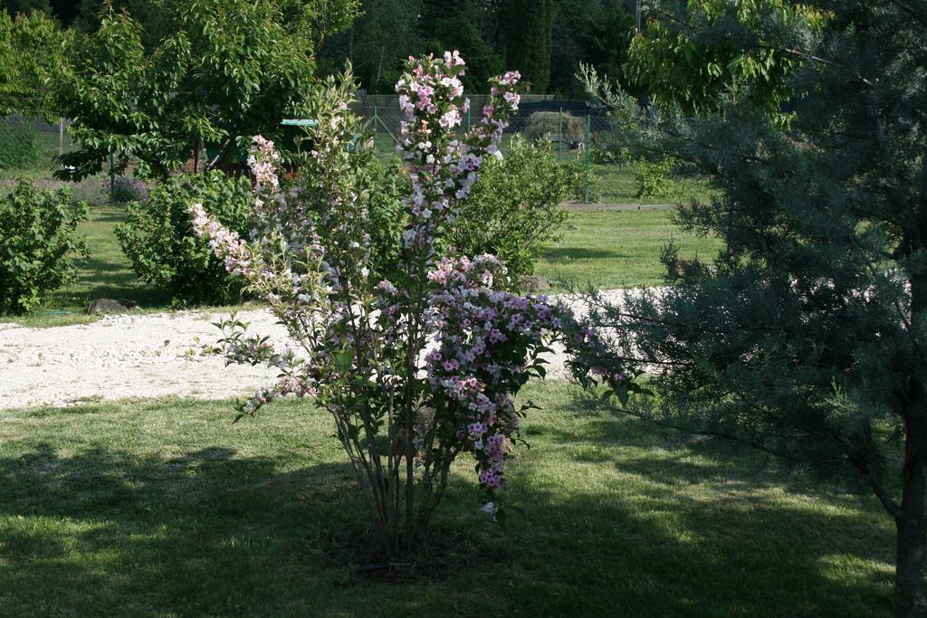 Malomdulo Farmhaz Pension Pilisborosjenő Buitenkant foto